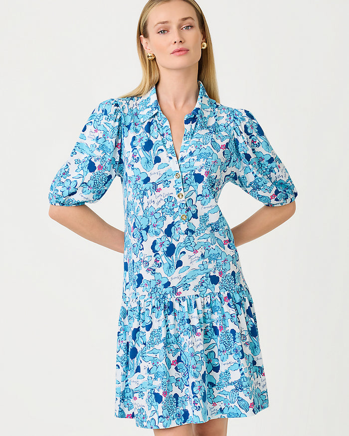 Bingley Dress