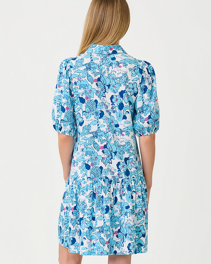 Bingley Dress
