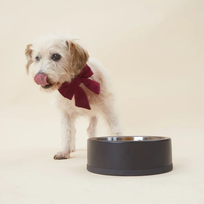 Burgundy Velvet Dog Bow - Giftware - The Foggy Dog