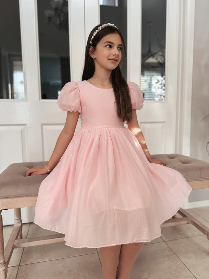 Delia Girls Light Pink Dress - Flower Girl Dress - A Little Lacey