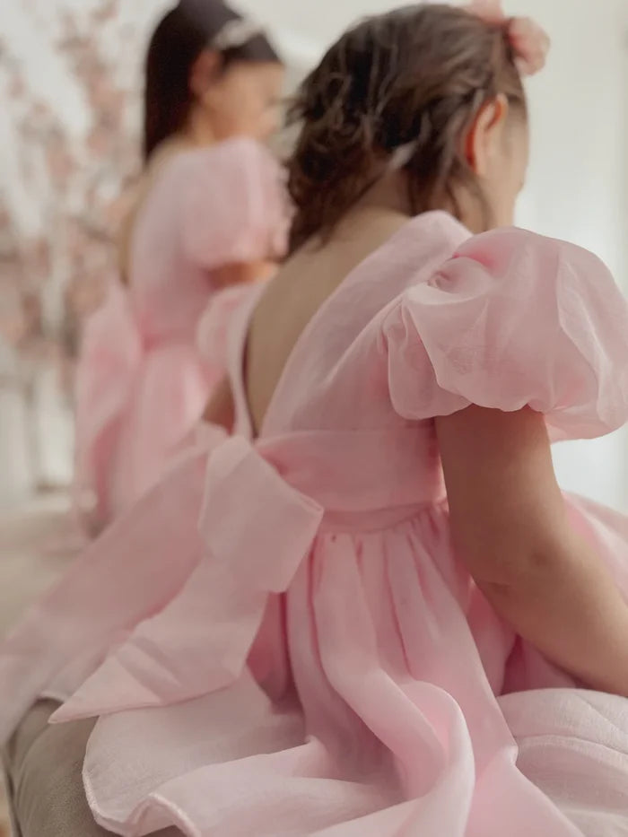 Delia Light Pink Baby Dress - Flower Girl Dress - A Little Lacey