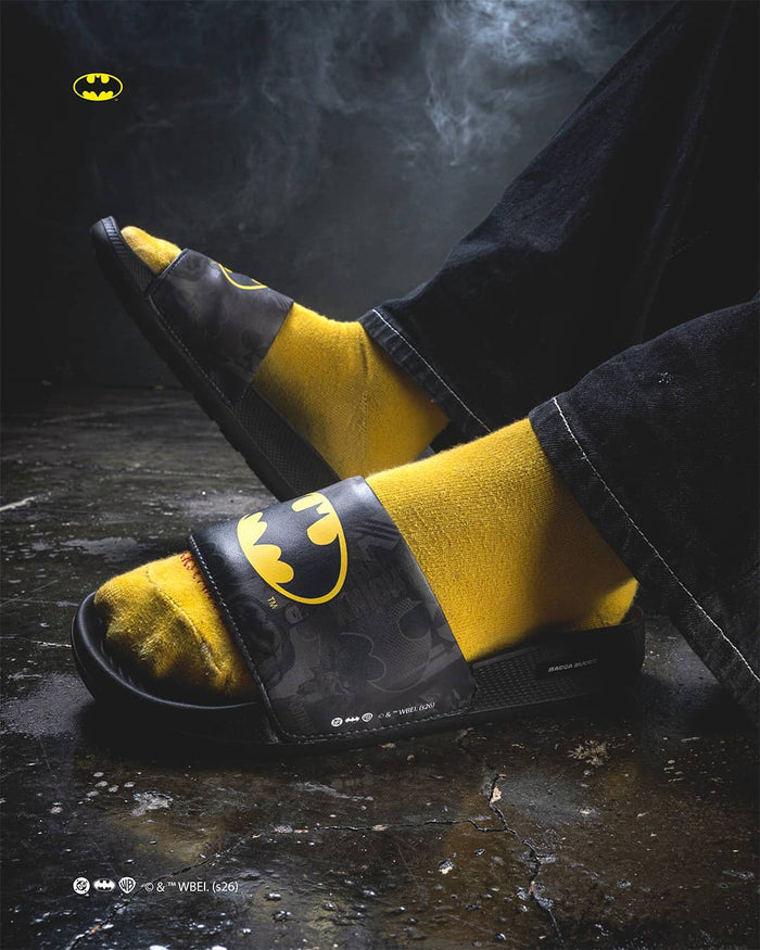 Heroes Who Dare – DC Superhero Slides