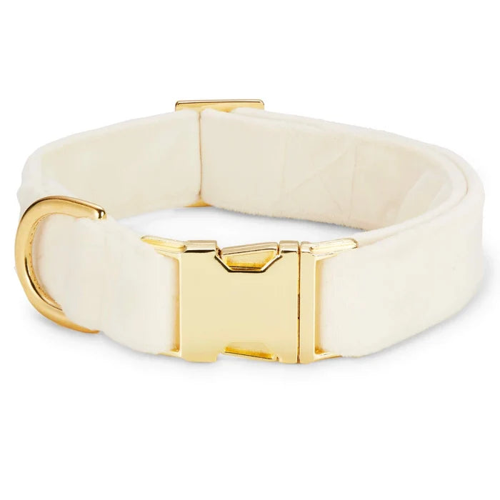 Ivory & Gold Velvet Dog Collar - Giftware - The Foggy Dog