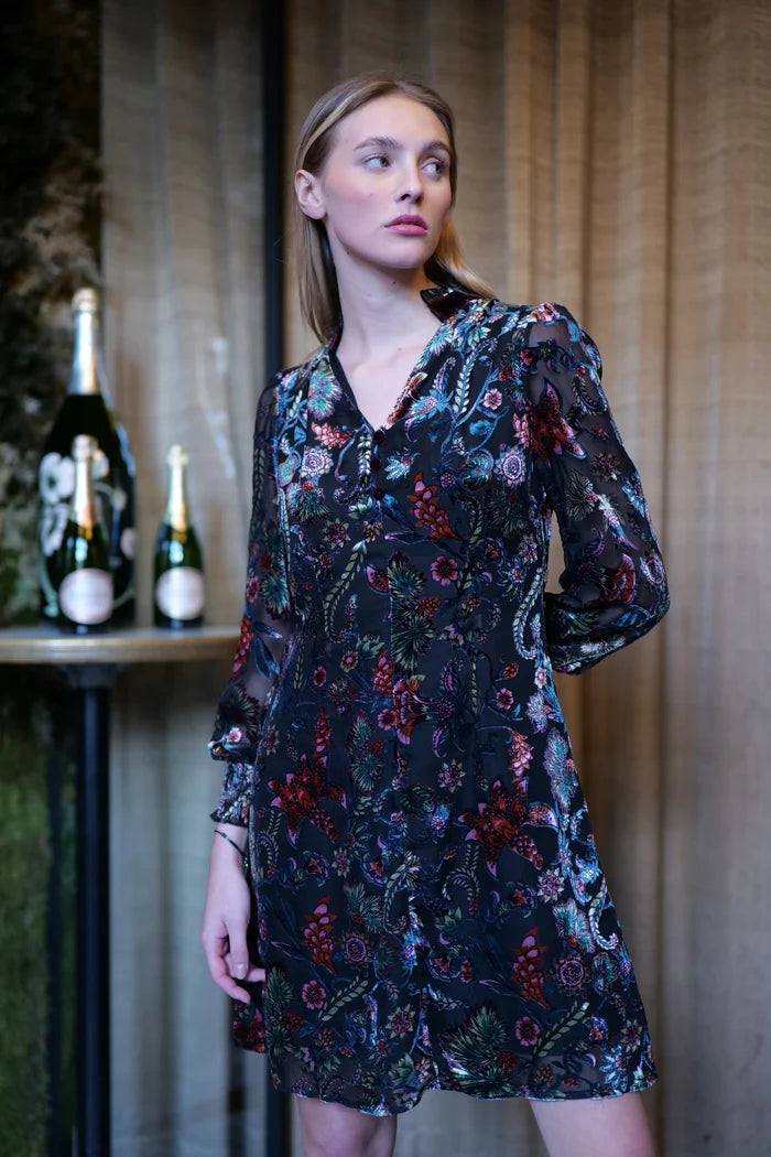 Jima Velvet Mini Dress (Black)