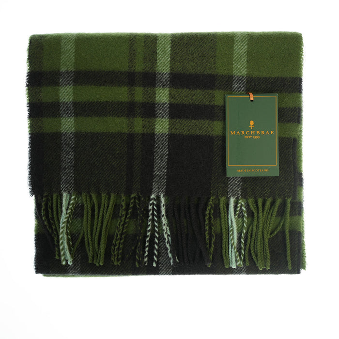 Amy Green Black