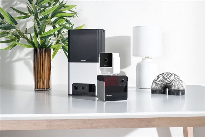 PetCube Cam - nadzorna kamera za kućne ljubimce