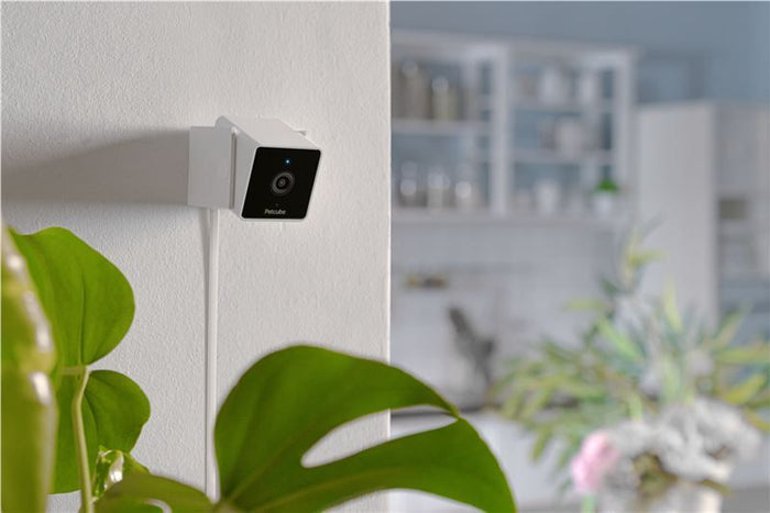 PetCube Cam - nadzorna kamera za kućne ljubimce