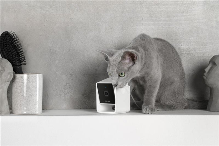PetCube Cam - nadzorna kamera za kućne ljubimce