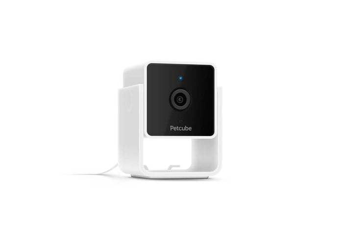 PetCube Cam 360 - nadzorna kamera za kućne ljubimce