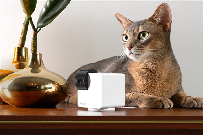 PetCube Cam 360 - nadzorna kamera za kućne ljubimce