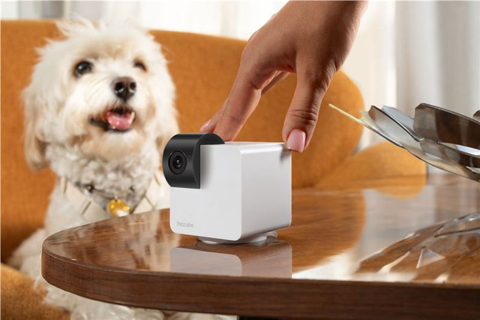PetCube Cam 360 - nadzorna kamera za kućne ljubimce