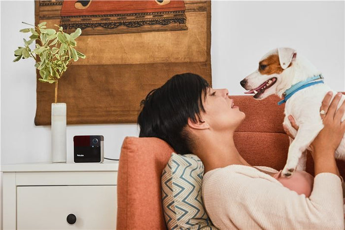 PetCube Play 2 - video kamera za kućne ljubimce