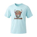 Scotland Unisex Rainbow Highland Cow Graphic T-Shirt – Aqua - Heritage Of Scotland - XS