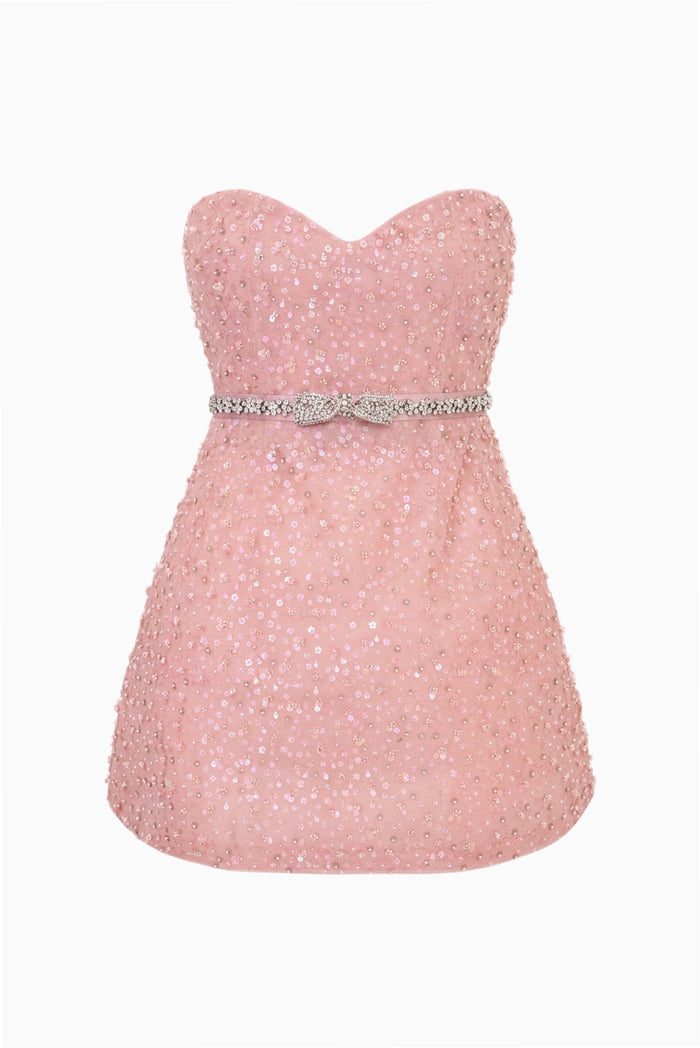 Sommaire Hand-Beaded Mini Dress